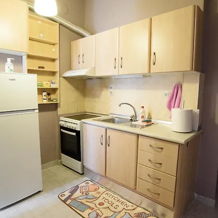 Salonika Downtown Spacious 公寓 *
