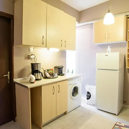 Salonika Downtown Spacious 公寓 *